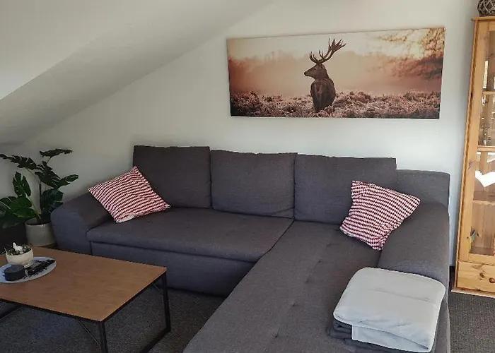 Daire Schmidt Bayerisch Eisenstein